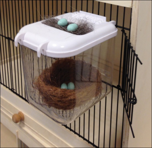 Clear View Nest Box Garden Feathers Bird Supplies | Poultry Supplies