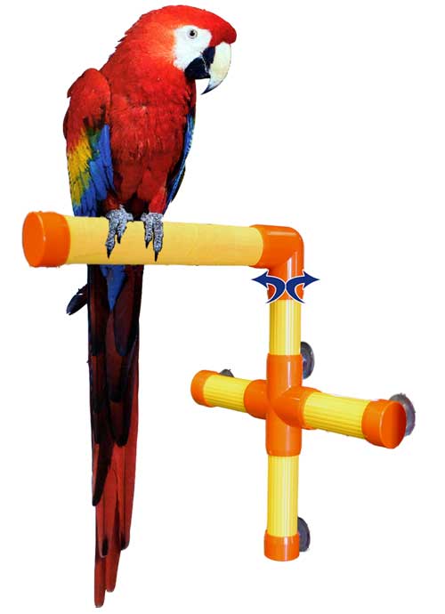 Shower & Window Perch for Large Parrots Garden Feathers Bird Supplies