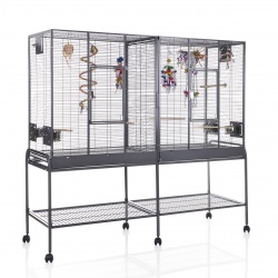 Pionus Cages