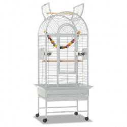 Caique Parrot Cages