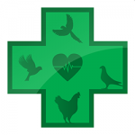 Lovebird Healthcare