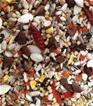 Parrot Seed Mixes