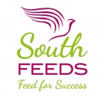South Feeds Pigeon Corn (L E South)