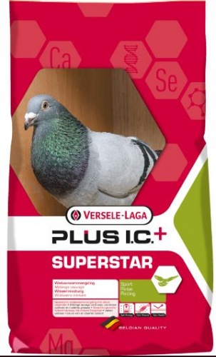 Versele Laga Superstar Plus IC