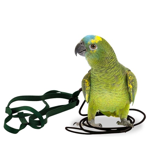 Aviator Parrot Harness Small