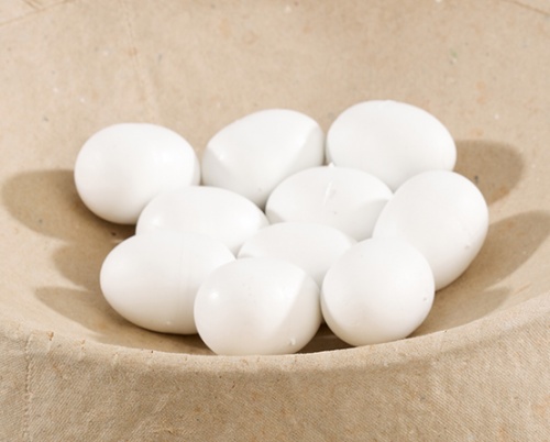 Pigeon Eggs (Solid)