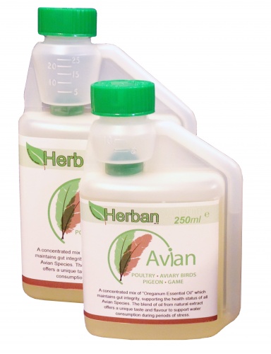 Herban Liquid Avian (Oregano)