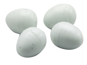 Finch Dummy Eggs (white) x10