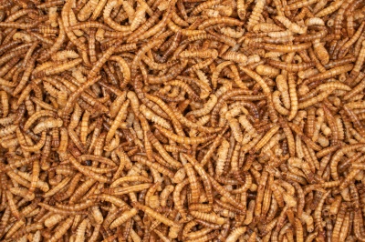 Deli Nature Mealworms