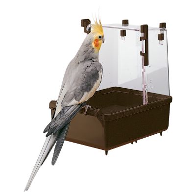Large Parakeet Bird Bath