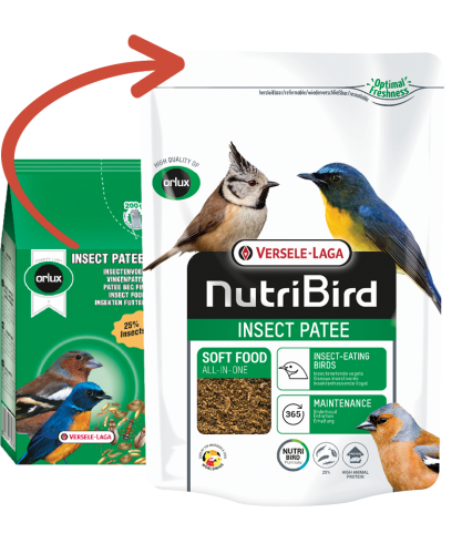 Versele Laga NutriBird Insect Patee