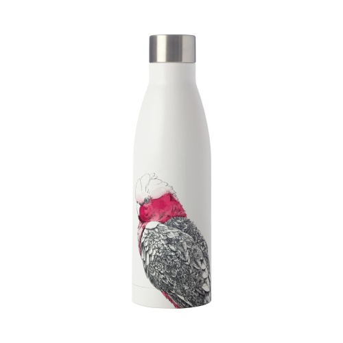 Budgie sipper bottle sale