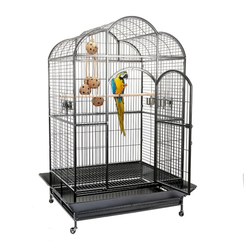 Photo inspiration: Picture Idea: Atlantis Macaw Parrot Cage Garden Feathers Bird Supplies