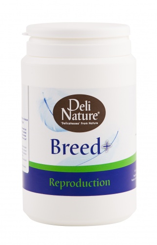 Deli Nature Breed + (Reproduction) 500g