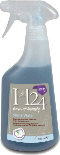 H24 Shine Water 600ml