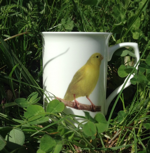 Canary Mug