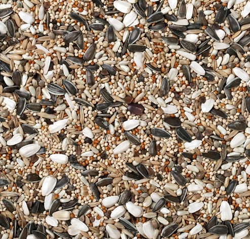 Feathers clearance bird supplies