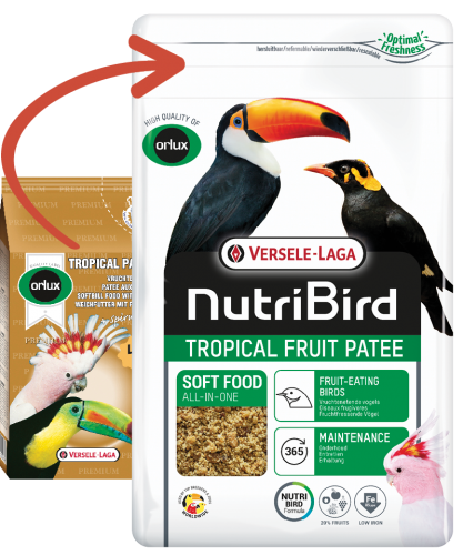 Versele Laga NutriBird Tropical Fruit Patee