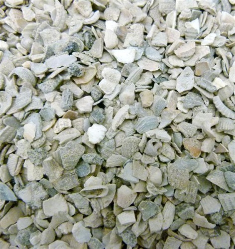 Coarse Oystershell Grit