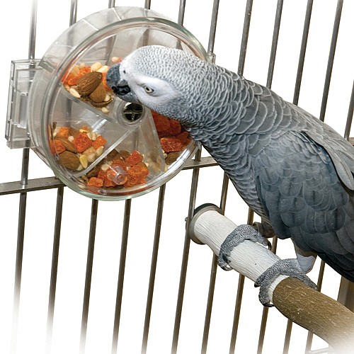 Original Parrot Foraging Wheel