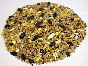 Garden bird seed sales suppliers