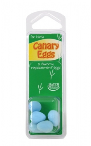 Canary Dummy Eggs Green x 10