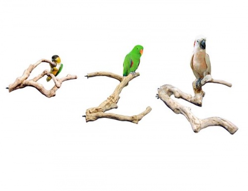 Java Multibranch Parrot Perch