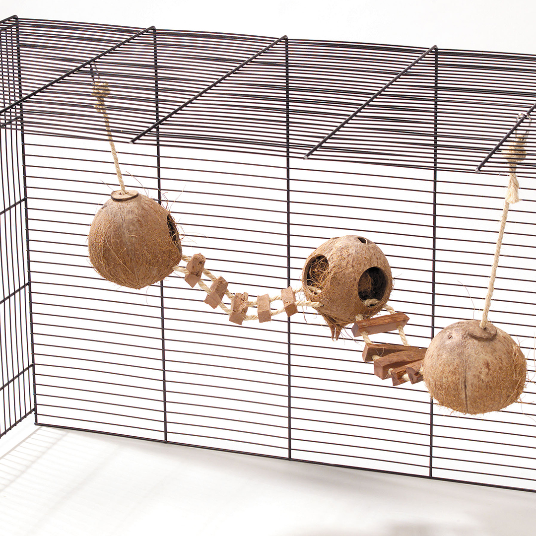 Beautiful view of Backyard Parrot Aviary With Rope Ladder And Enclosure