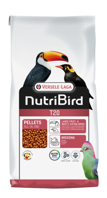 Softbill birds for sales sale