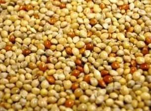 Mixed Millets