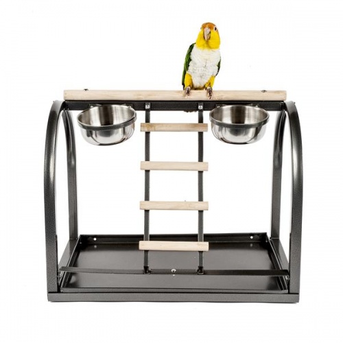 Deluxe Tabletop Parrot Playstand