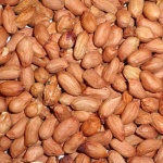 Peanuts