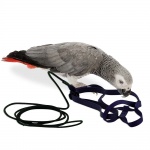 Aviator Parrot Harness - Medium