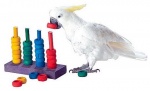 Zoo-Max Teacher Toy Parrot Learning Game