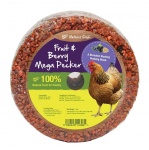 Natures Grub Mega Pecker Block Fruit & Berries