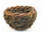 British Finch Pine Fir Nest (Standard)