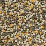 Johnston & Jeff Mixed Pulses (Cook / Soak)