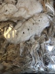 Mixed Nesting Fibers (Coco, Sisal, Cotton, Jute)