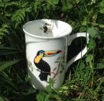 Toucan Mug