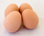 Hen Dummy Eggs - Rubber Nest Eggs