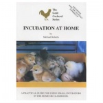 Incubation at Home: Michael Roberts