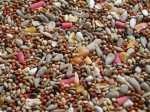 No Mess Wild Bird Seed Mix