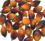 Palm Nuts (Frozen)