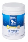 Beyers Recovery