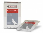 Versele Laga Recup-Lyt Electrolytes